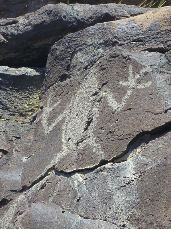 Lagomarsino Petroglyph Frog