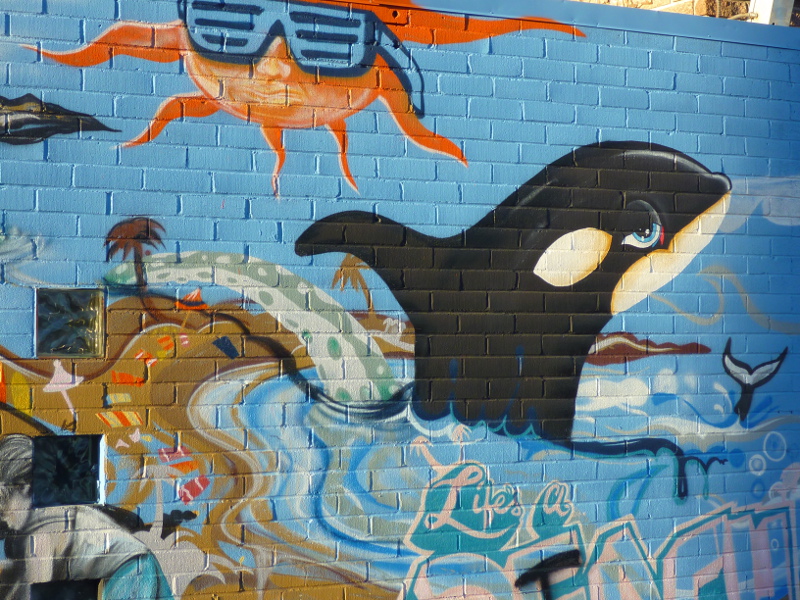 Wallart in Reno's Midtown: curious orca whale