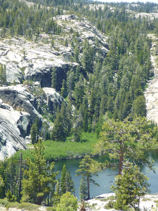 Shealor Lake with Sierra Granite and Forest