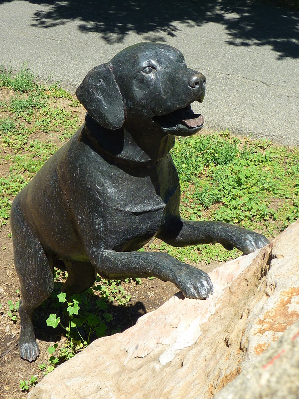 Dog sculpture: Dog chasing Turkey