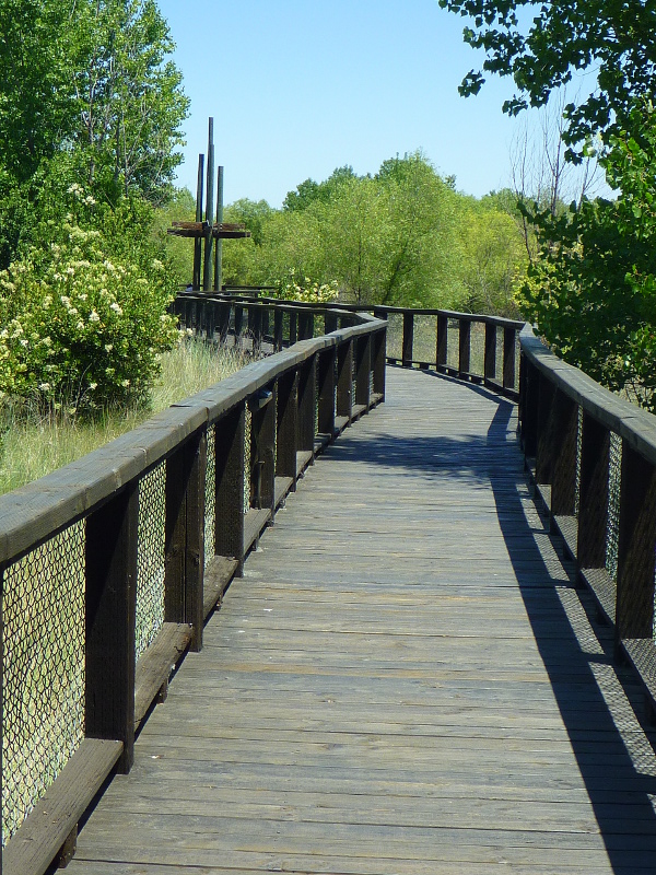 Platform at Northstar Pond