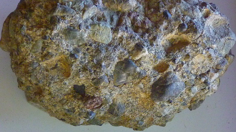 Sibley's rock collection: conglomerate from Orinda Formation