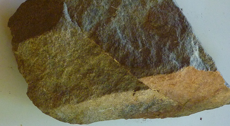 Sibley's rock collection: Cretaceous sandstone