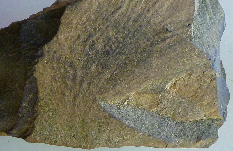 Sibley's rock collection: massive basalt lava