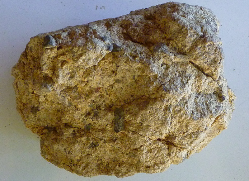 Sibley's rock collection: rhyolite tuff