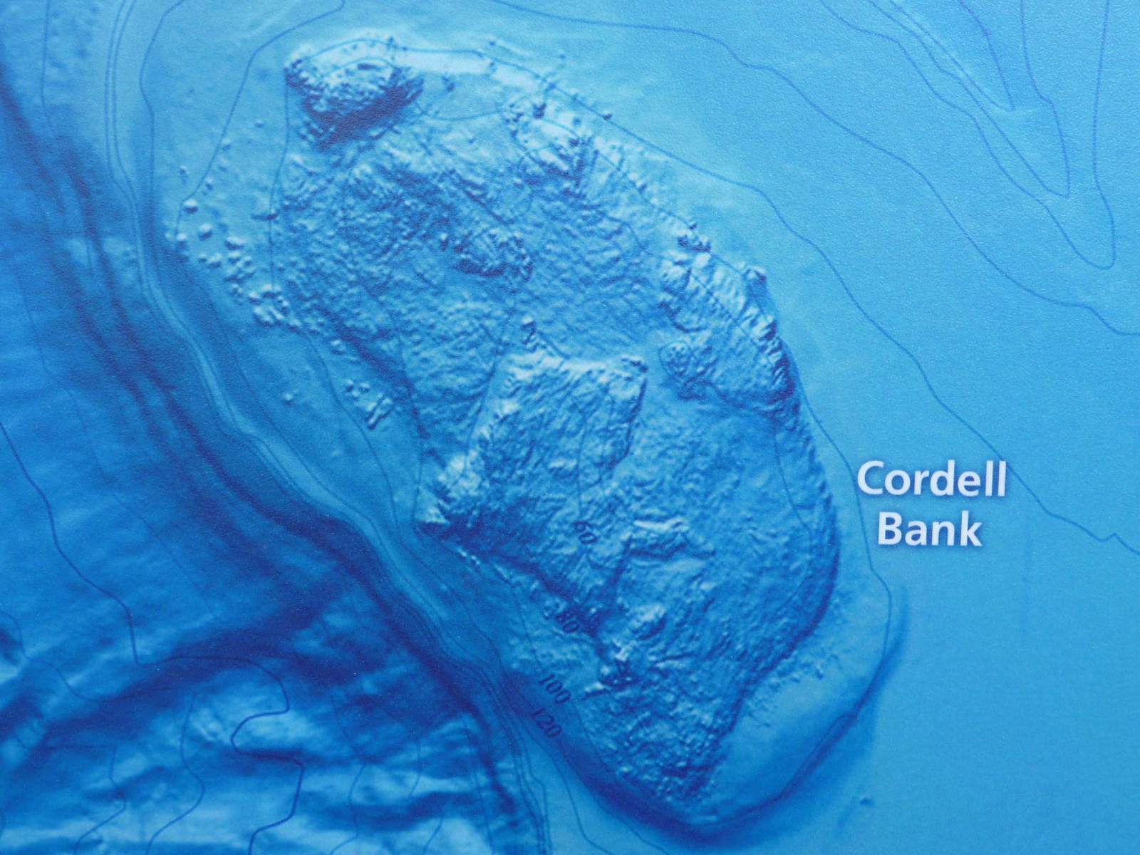 Cordell Bank