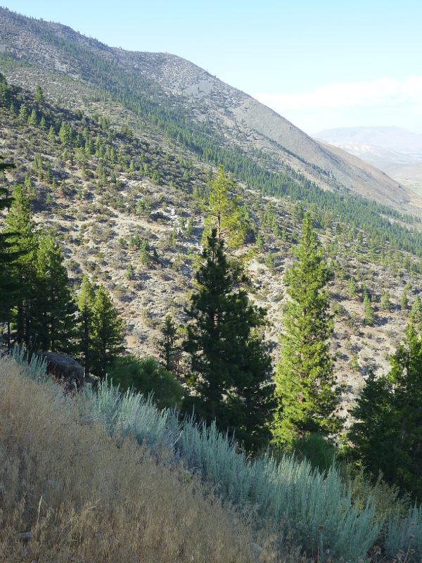 Carson Range slopes north of Genoa