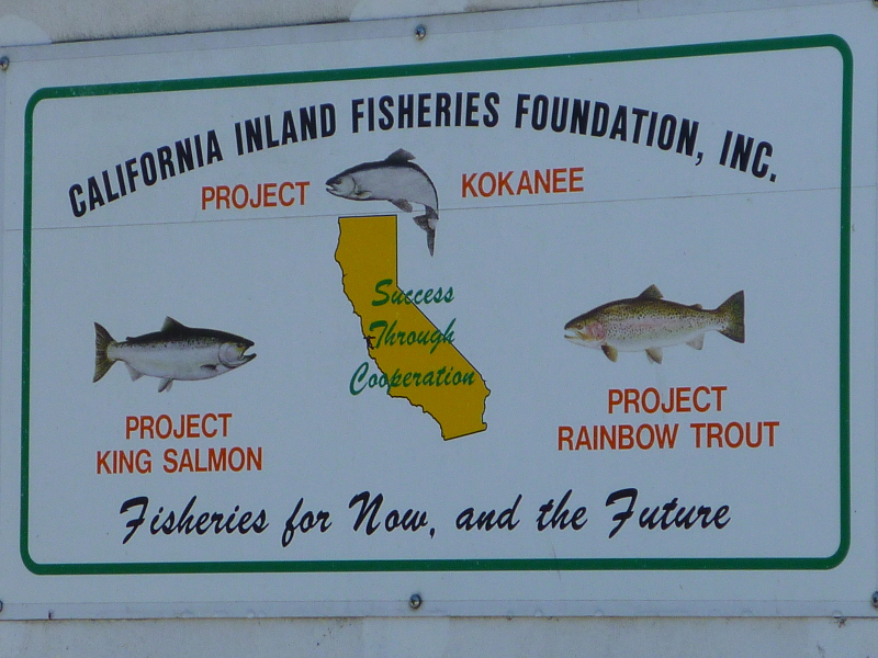 plate at tank of fish truck