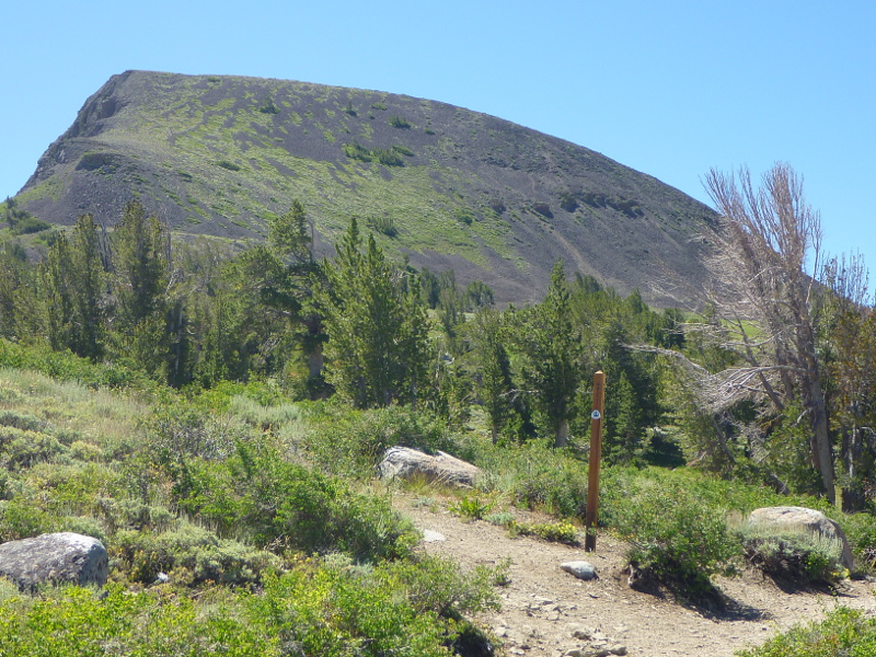 Elephants Back in the Mokelumne Wilderness in the Sierra Nevada