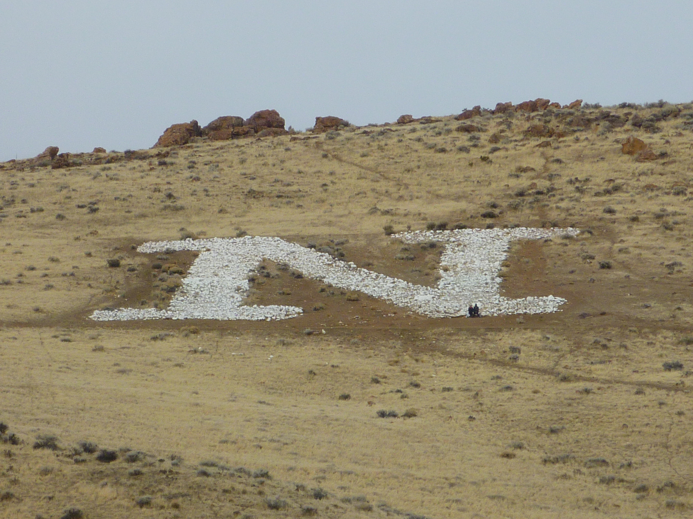 Nevada N