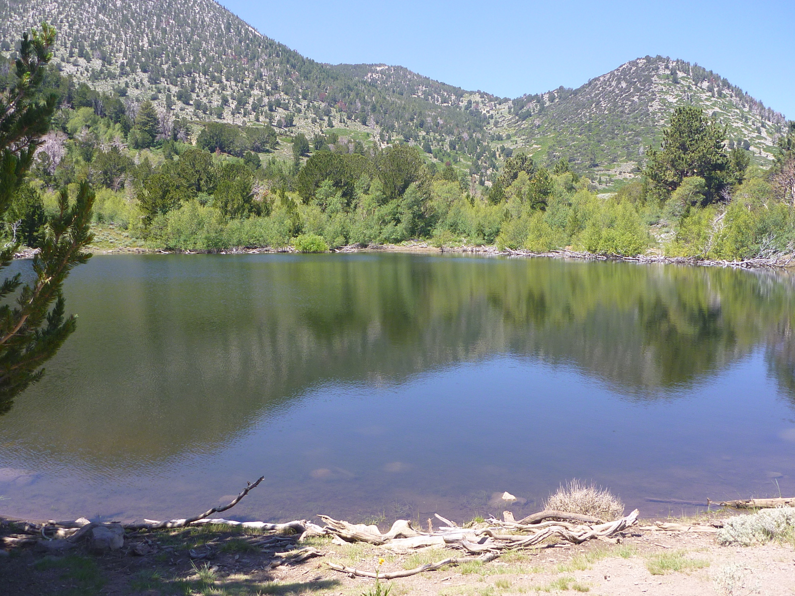 Church Pond