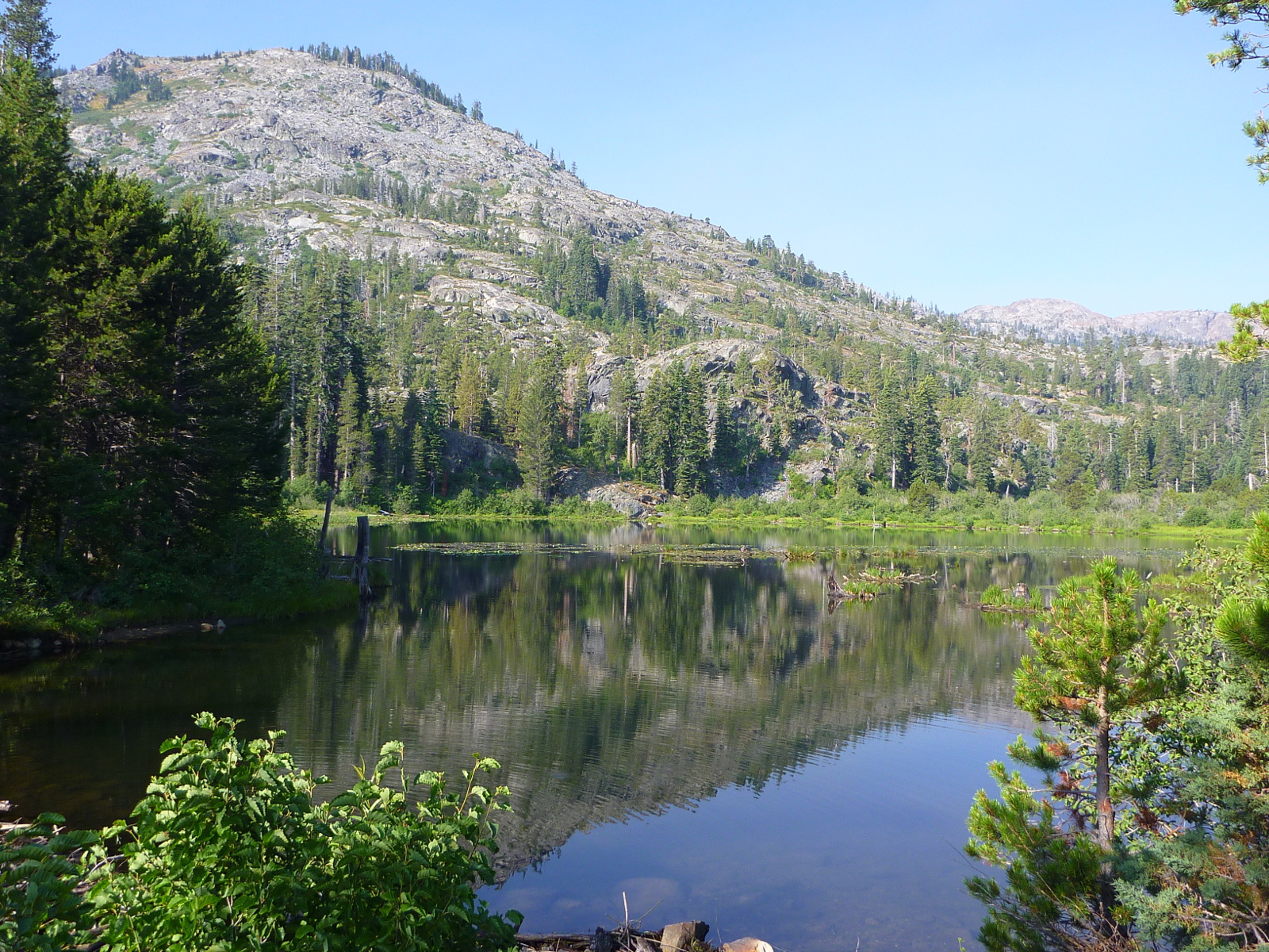 Lily Lake