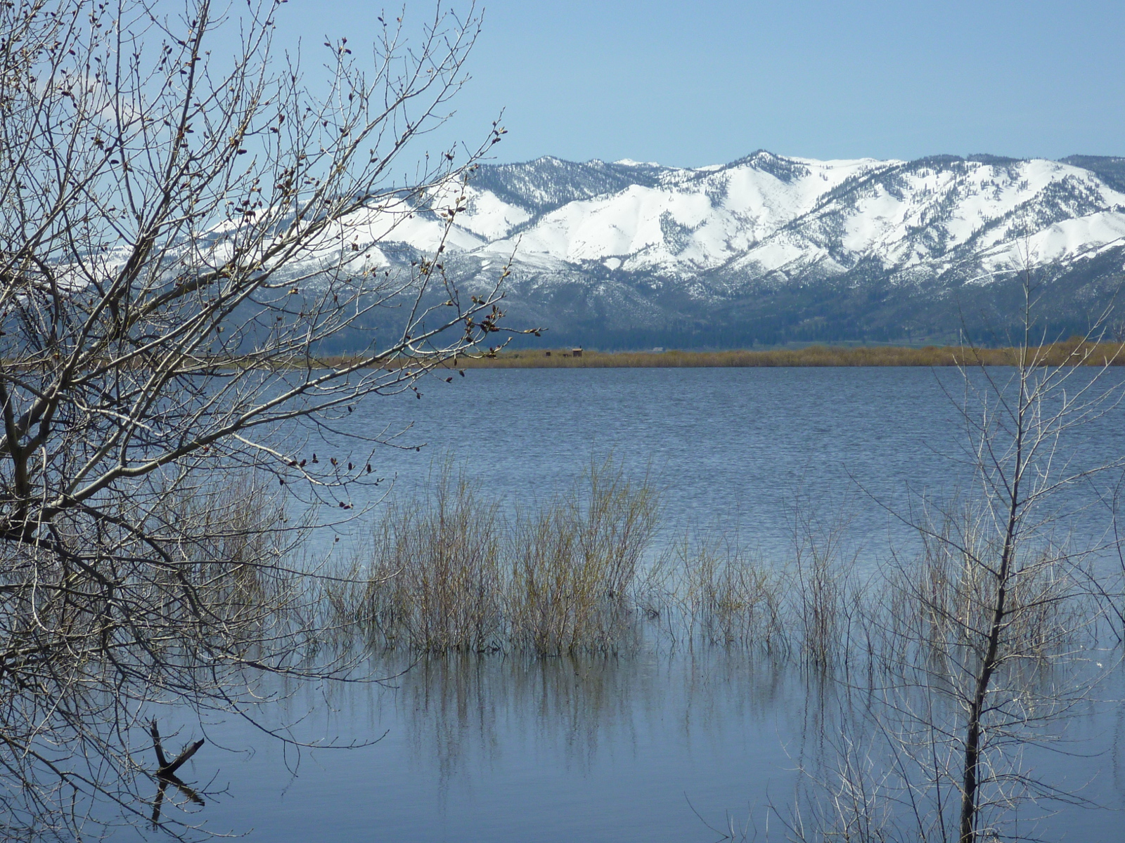 Little Washoe Lake