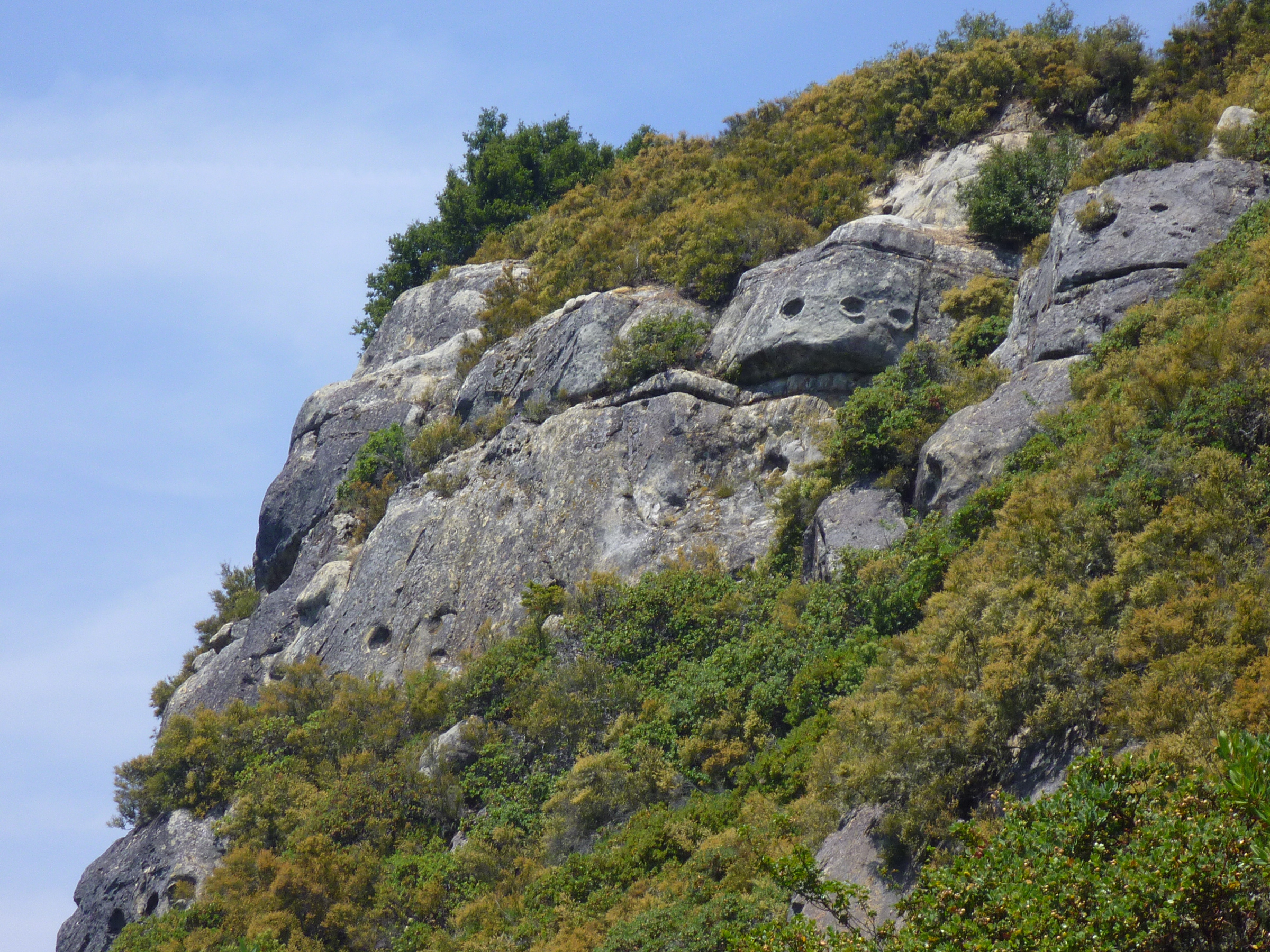 tafoni_cliffside