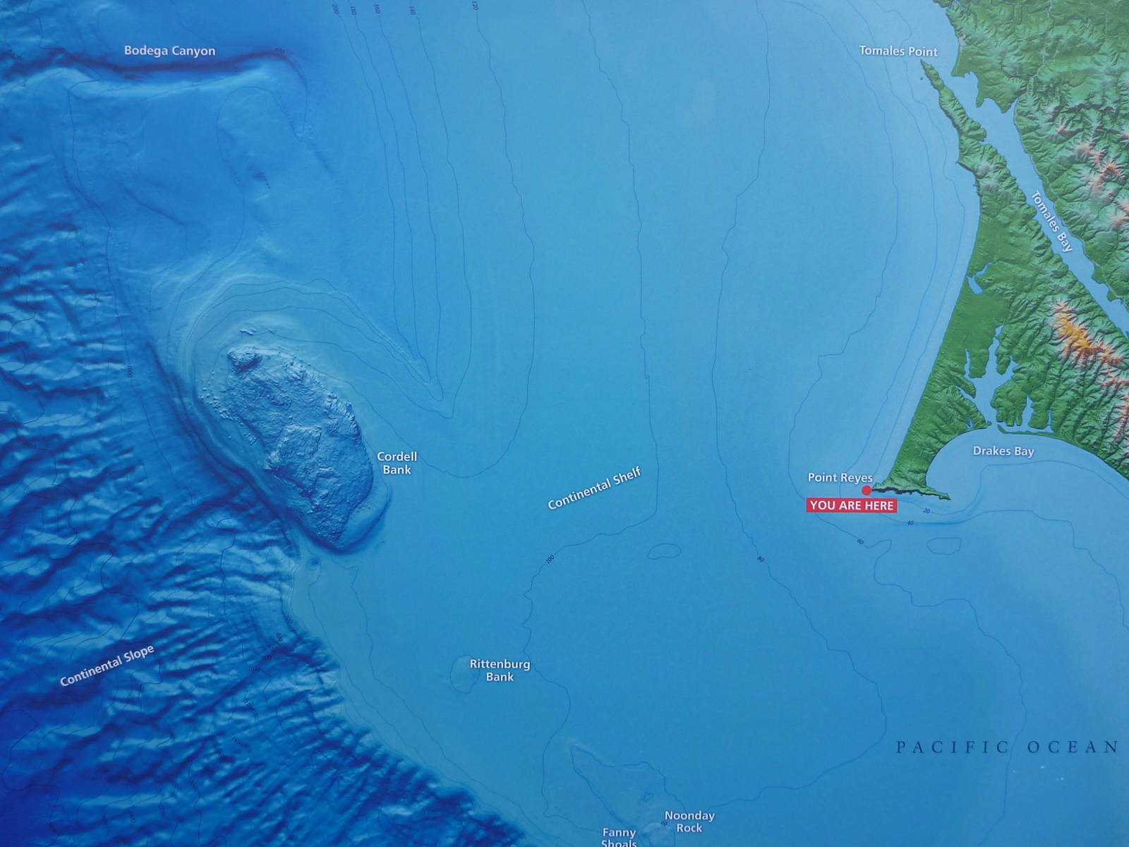 West of Point Reyes