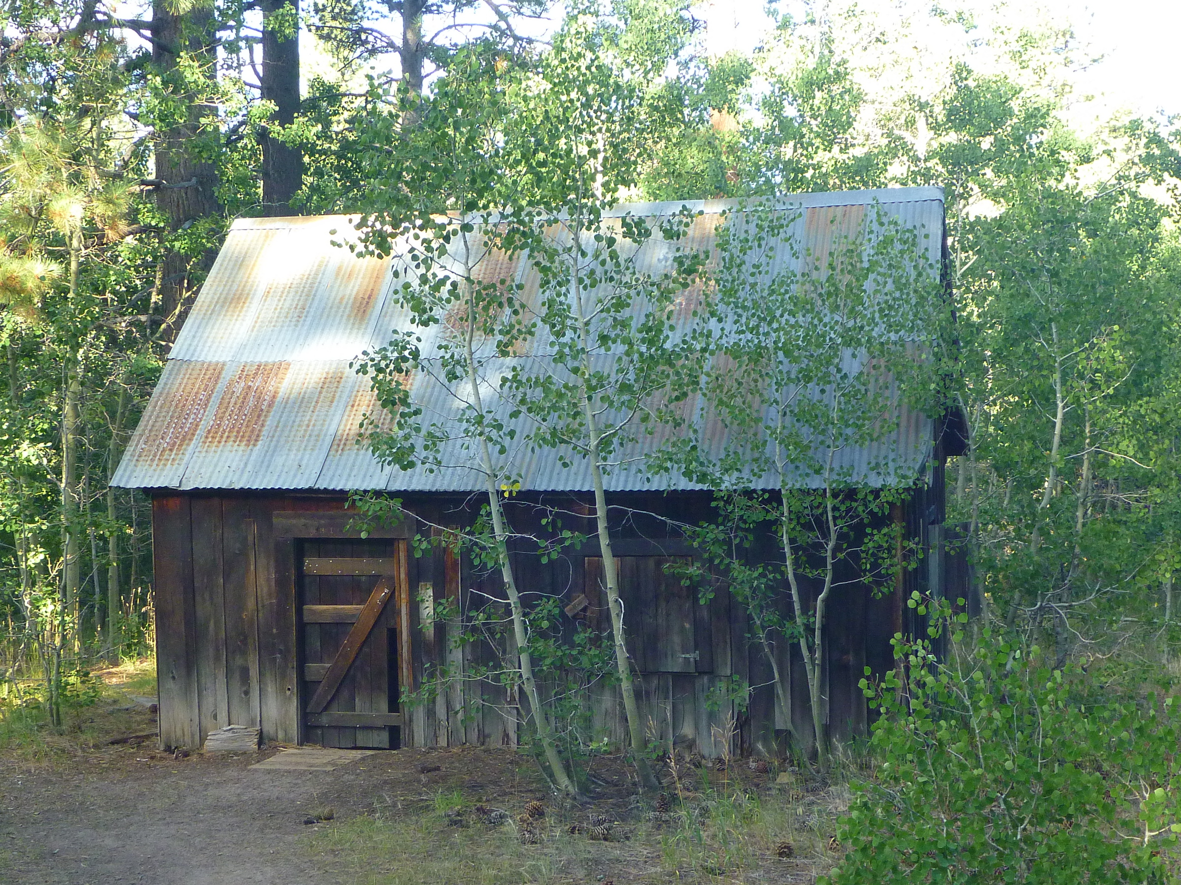 Spencer's Cabin